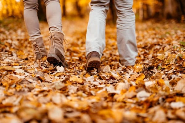 não importa o que vamos fazer